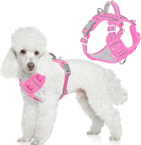 Miniatura 71 de BARKBAY Arnés para perro sin tirones con bolsillo para etiqueta de identificación, resistente, reflectante, fácil control para perros grandes