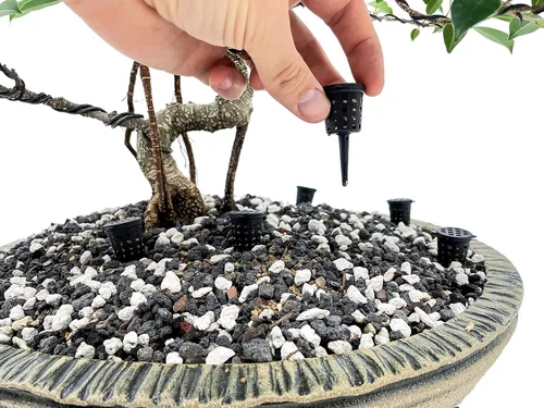 Miniatura 3 de Cestas de fertilizante para bonsái (10 piezas) de The Bonsai Supply