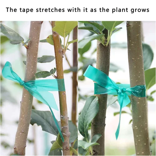 Miniatura 7 de Easytle Rollo de cinta de amarre elástica, 1/2 pulgada y 150 pies, cinta gruesa y resistente para plantas, estacas de vinilo verde jardín