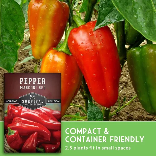 Miniatura 5 de Survival Garden Seeds - Semilla de pimiento rojo Marconi para plantar - Paquete con instrucciones para plantar y cultivar pimientos italianos dulces