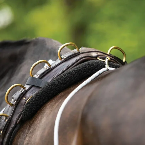 Miniatura 3 de Sistema de entrenamiento europeo avanzado Herramienta de entrenamiento avanzada Mejora el carro de caballos y los auriculares Fomenta