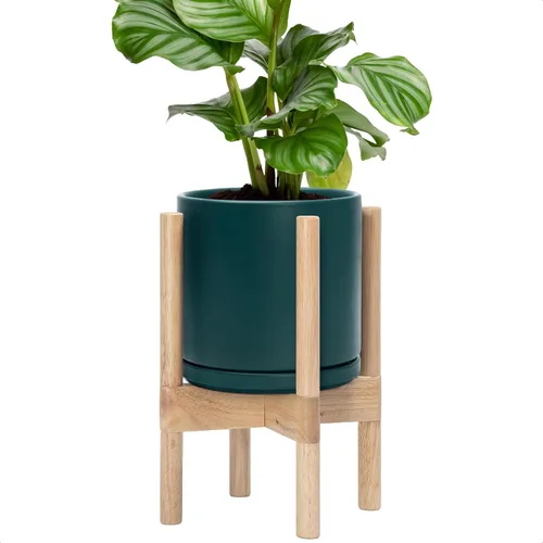 Miniatura 69 de D'vine Dev Maceta de cerámica con soporte de ébano – Maceta redonda moderna de 8 pulgadas con soporte para maceta de madera, color negro, 55-B-M-2