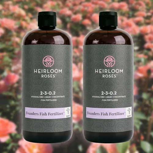 Miniatura 10 de Heirloom Roses Founder's Fertilizante para peces, alimento vegetal para plantas, fertilizante líquido orgánico de emulsión, fertilizantes de jardín