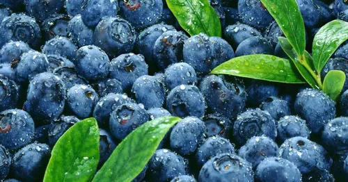 Miniatura 6 de Flora Foods Conservas orgánicas de arándanos Hecho con azúcares de frutas naturales 12 oz (340 g) 100% fruta 100% italiana Calidad premium