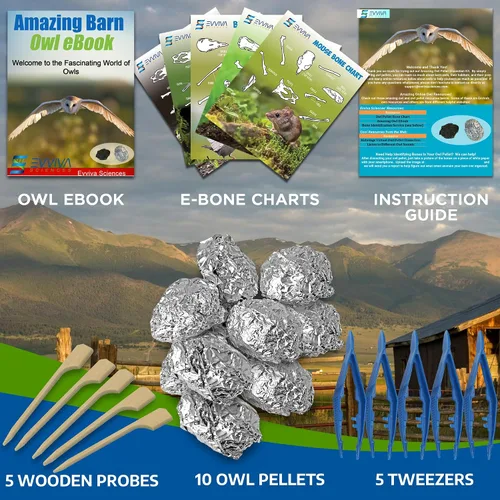 Miniatura 3 de Amazing Owl - Kit de disección de pellets de búho – Juego de pellets de búho de 10 piezas para proyectos de laboratorio científico – con pinzas