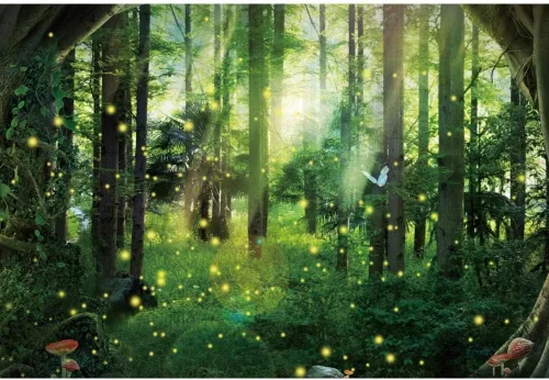 Miniatura 4 de Telón de fondo de fotografía de bosque de fantasía mágica, selva, safari, fiesta, fondo de fiesta, luz del sol, primavera, árbol verde, mariposa