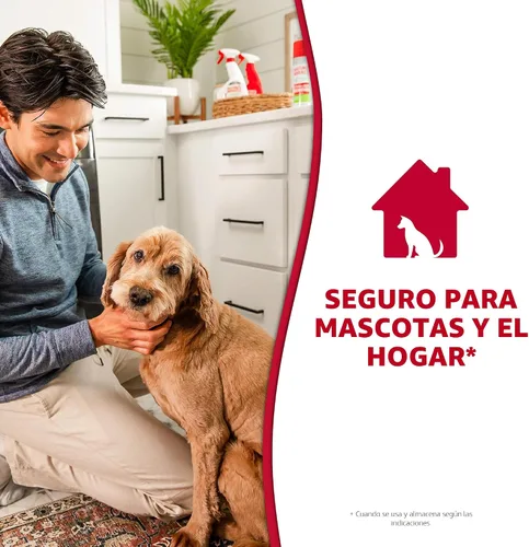 Miniatura 7 de Removedor de manchas y olores de perros, fórmula enzimática para desastres cotidianos, de Nature's Miracle, 709 ml