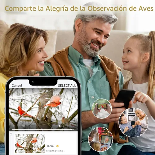 Miniatura 7 de Comedero para pájaros con cámara, cámara de comedero inteligente WiFi para exteriores con reconocimiento de aves AI incorporado, energía solar