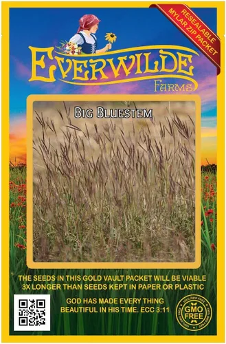 Miniatura 5 de Everwilde Farms - Semillas de hierba nativa Big Bluestem de 1 onza - Gold Vault