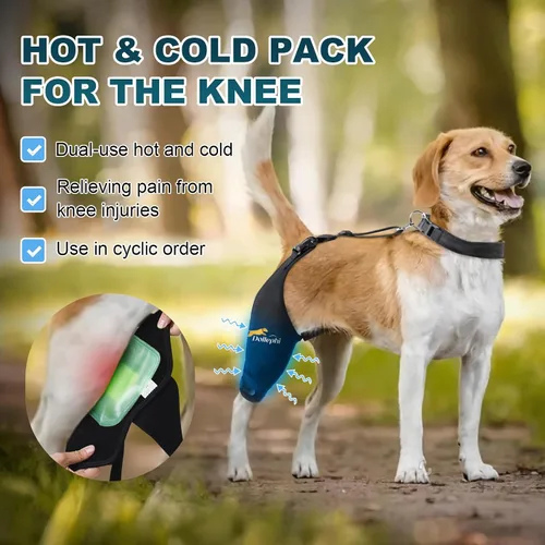 Miniatura 2 de Rodillera para perro para pierna trasera desgarrada del ligamento cruzado anterior, compresión caliente/fría para luxación de rótula u