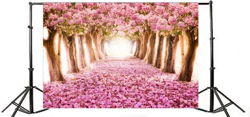 Miniatura 3 de AOFOTO Fondo de fondo de flores de cerezo de primavera de 5 x 3 pies, flores rosadas, árbol, pétalos florales, boulevard, fondo de fotografía, baby