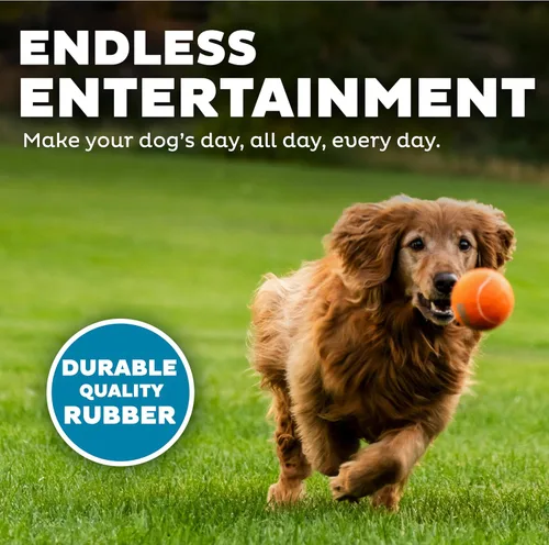 Miniatura 4 de Outward Hound Squeaker Ballz Paquete de 4 Juguetes de Pelotas de Tenis para Perros con Chirriador, Juego Interactivo de Buscar para Mascotas de 50