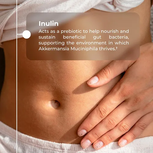 Miniatura 4 de Neurogan Akkermansia Muciniphila Probiótico + Suplemento - 30 mil millones de UFC - Probióticos para la salud digestiva y apoyo celular - Cápsulas