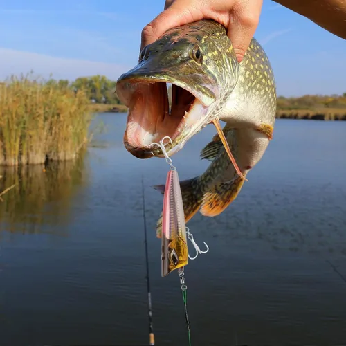 Miniatura 7 de Alwonder Barril de pesca giratorio de 20 a 50 unidades de aparejos de pesca giratorios de agua dulce y salada, giratorios, resistentes, acero
