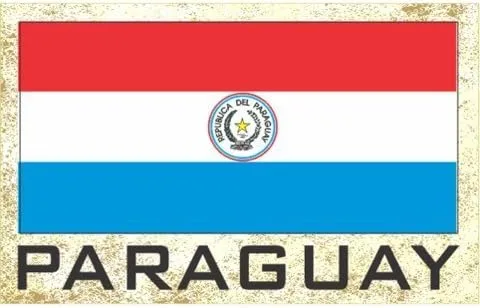 Imanes para frigorífico con bandera - Americas Grp 2 (paquete de 1, País: Paraguay)