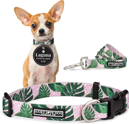 Miniatura 61 de Lucky Love Dog - Collar para perras pequeñas, diseño Blackbird de estampado alegre con flores de primavera y verano, talla XS