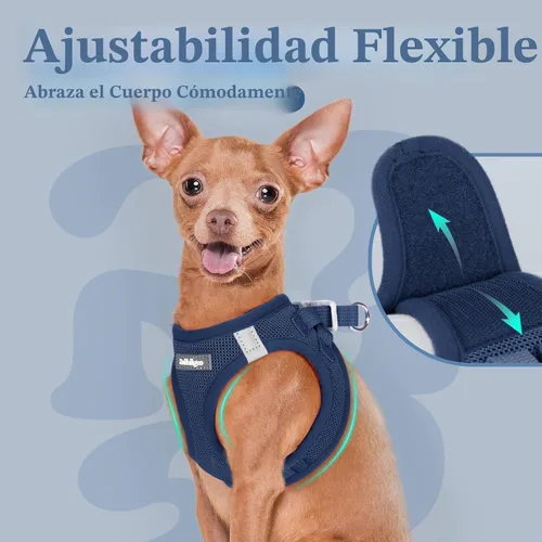 Miniatura 6 de rabbitgoo Arnés para perro pequeño, chaleco de malla suave para cachorros con hebilla de seguridad, arnés reflectante transpirable para mascotas