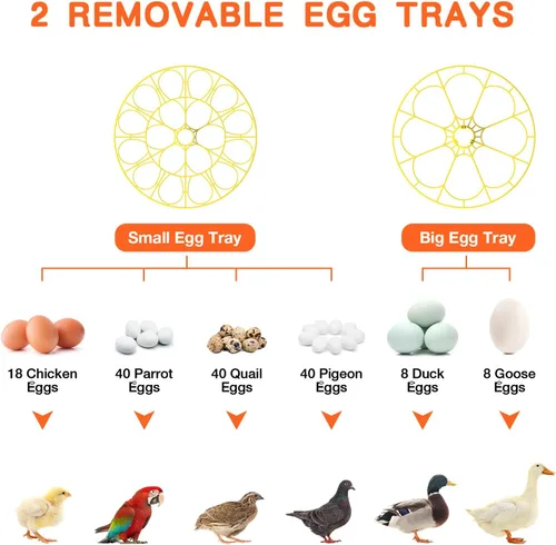 Miniatura 7 de Incubadora de 18 huevos, incubadora para incubar huevos, giro automático de huevos y control de temperatura de humedad, vela de huevos, día