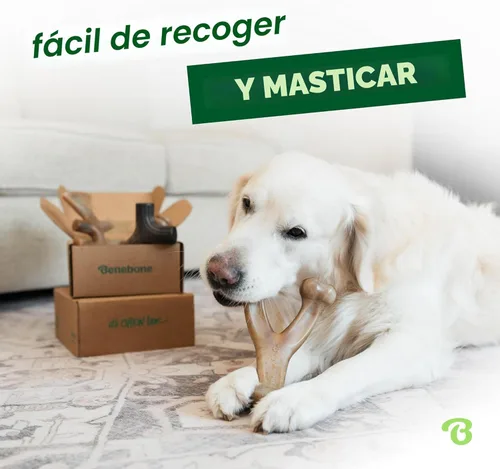 Miniatura 2 de Benebone - Paquete de 4 juguetes para masticar pequeños para perros agresivos, fabricados en Estados Unidos, para perros de 13.6 kg y menos