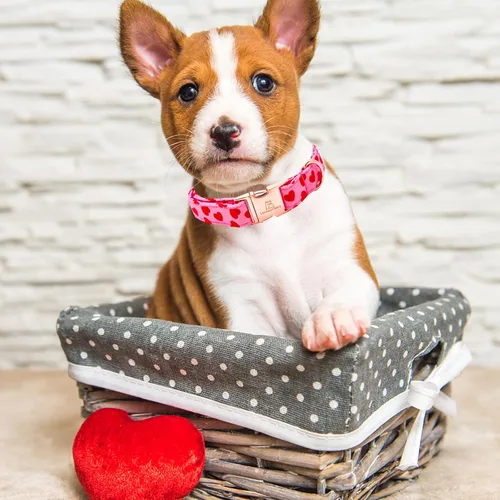 Miniatura 5 de Lionheart glory - Collar de San Valentín, collares para perros con corazones rojos para collares de perro bonitos medianos, collar para mascotas B