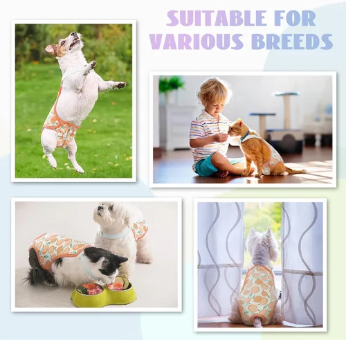 Miniatura 6 de QBLEEV Pañales para perras para hembra, lavables, sanitarios, con tirantes ajustables, pañales reutilizables para perros machos en celo, lindas