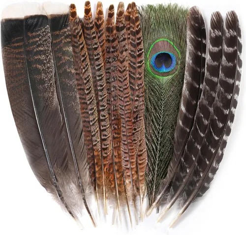 Ballinger Plumas de faisán naturales grandes – 8-12 pulgadas, 4 estilos, 15 plumas de manualidades surtidas a granel, plumas de pavo real faisán