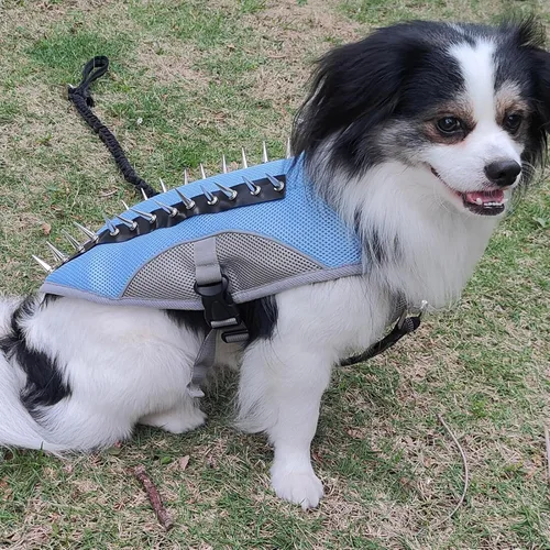 Miniatura 2 de Chaleco de enfriamiento para perro, arnés de verano para pequeño, mediano, reflectante, sin tirones, con asa y protección contra picos