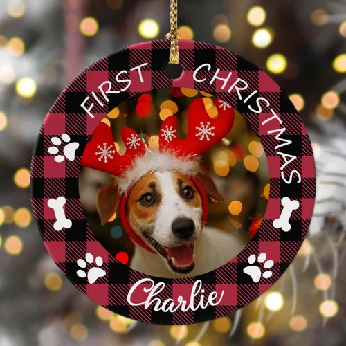 Adornos de Navidad personalizados con foto 2025, nombre personalizado para perro y gato, adornos para árbol de Navidad, cachorros, perros, gatos,