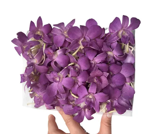 Miniatura 10 de Miami Fresh Orchid Flower OrchidClub USA Sunne Tropical Cabeza de floración suelta DIY Lei comida bebida decoración púrpura (2 x 50 púrpura)