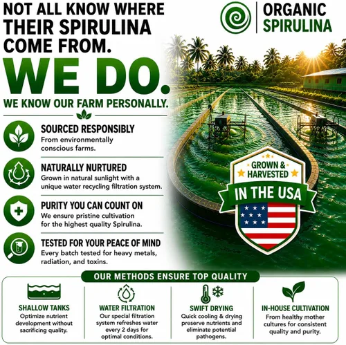 Miniatura 6 de Cápsulas de espirulina en polvo de 3000 mg – Algas azules verdes no irradiadas más puras – La mejor proteína vegana cruda – Superalimento verde