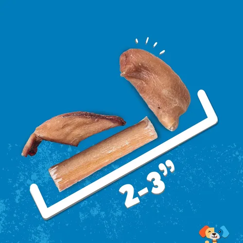 Miniatura 3 de Jack&Pup Bully Stick Bites- 10 onzas – Golosinas para perros pequeños y medianos – Todo natural, Pizzle de carne de res de un solo ingrediente