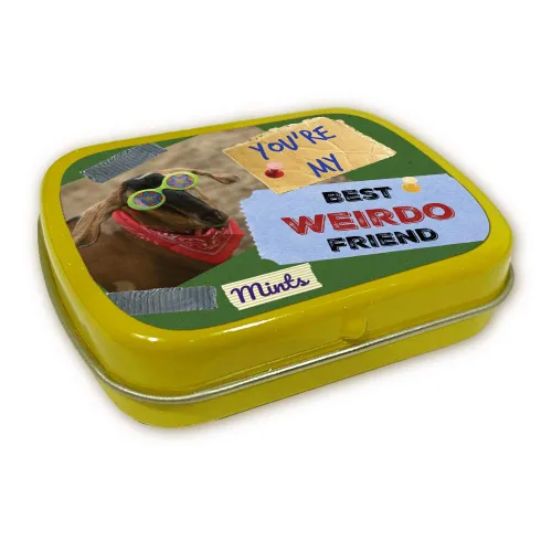 Miniatura 5 de You're My Best Weirdo Friend Mints – Divertido diseño de cabra de menta – Caramelos novedosos para amigos – Mentas de aliento de gaulteria, sin