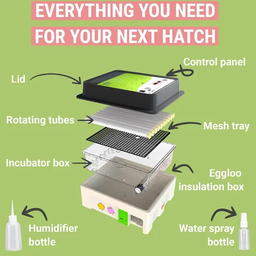 Miniatura 4 de Incubadora OBI-36 para incubar huevos, 36 huevos, fácil de usar, control estable de temperatura y humedad con aislamiento Eggloo, color verde