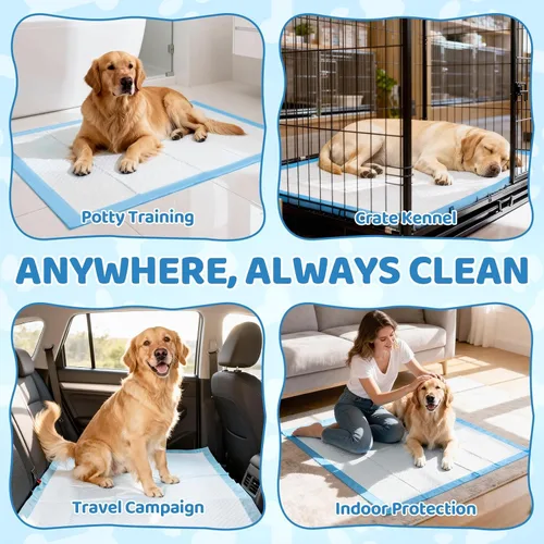 Miniatura 2 de Paquete de 60 almohadillas extra grandes para orina de perro de 34 x 28 pulgadas, superabsorbentes, a prueba de fugas, secado rápido, almohadillas