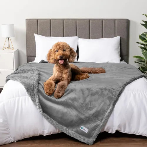 Miniatura 23 de PetAmi - Manta impermeable para perros medianos, cachorros, gatos pequeños Manta suave de forro polar Sherpa para mascotas, para sofá, sofá, funda