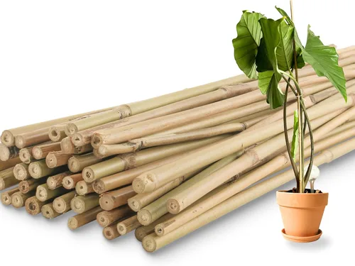 50 estacas de bambú de 3 pies para plantas de interior y exterior, palos de soporte para plantas de jardín, postes para tomate, verduras, frijoles,