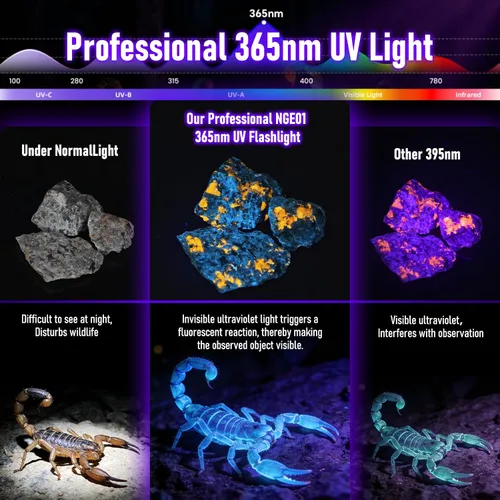 Miniatura 3 de Linterna UV 365nm Linterna de luz negra, potente linterna ultravioleta para manchas de orina de mascotas, pegamento UV curado, escorpiones, resina