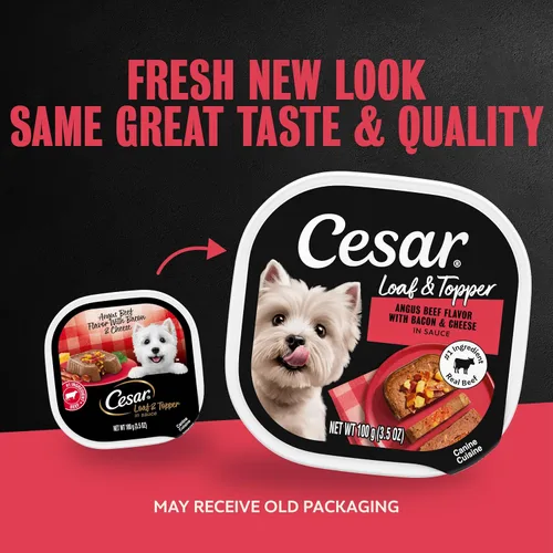 Miniatura 2 de Comida enlatada para perros adultos,sabor césar, Carne