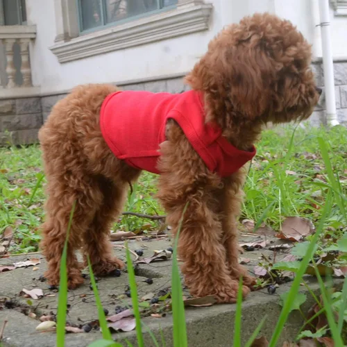 Miniatura 6 de Lovelonglong Ropa para mascotas de verano 2019, ropa para perro, camisetas en blanco, camisetas acanaladas, chalecos de hilo superior para perros