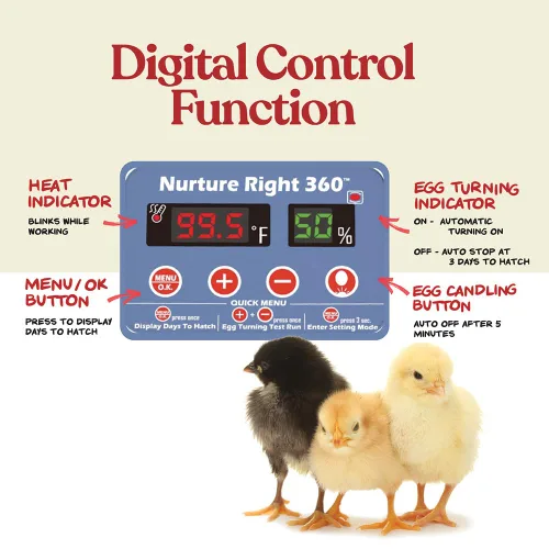 Miniatura 3 de Incubadora de huevos Harris Farms Nurture Right para incubar pollitos, con capacidad para 12-22 huevos, con volteador automático y control