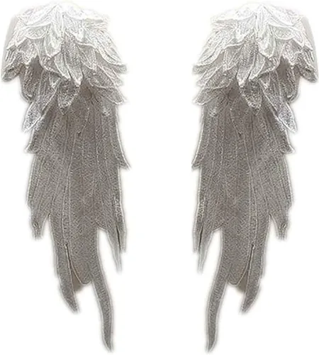 Miniatura 4 de Parches bordados con alas de ángel, apliques de costura en encaje para manualidades, 1 par Dorado