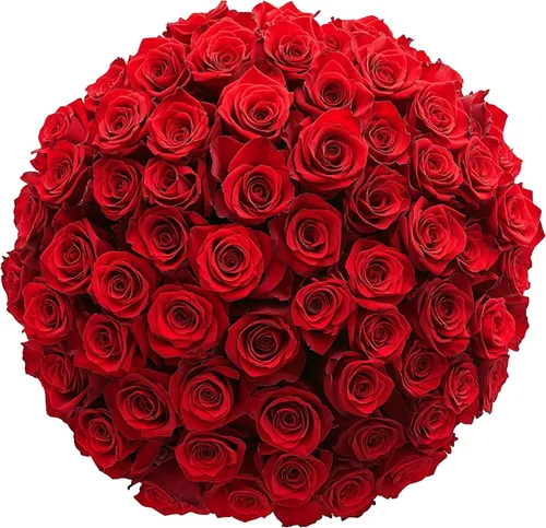 Miniatura 11 de GlobalRose Ramo de 50 rosas surtidas, rosas de origen responsable, flores frescas, ramo fresco de flores seleccionadas a mano para el día