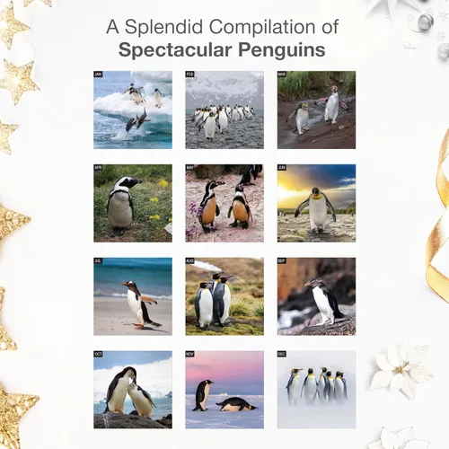 Miniatura 3 de RED EMBER Penguins - Calendario de pared 2026 de 12 meses, 12 x 24 pulgadas, abierto, papel grueso y resistente, para regalar, calendario