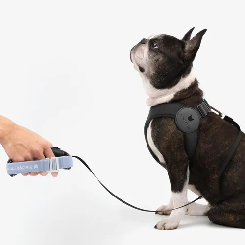 Miniatura 8 de Arnés Ultra Cómodo para Perros Ajustable Chaleco Suave para Perros, Cierre de Hebilla de Aleación Ligero Elástico Arnés para Cachorros Step in