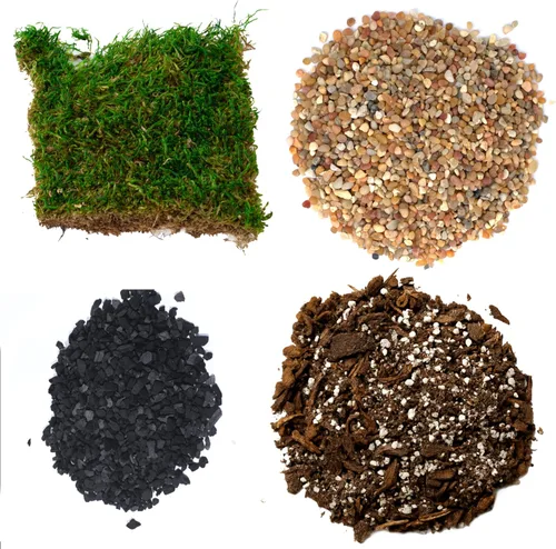 Kit de maceta para suculentas, kit de terrario con tierra para suculentas, grava, guijarro, musgo,