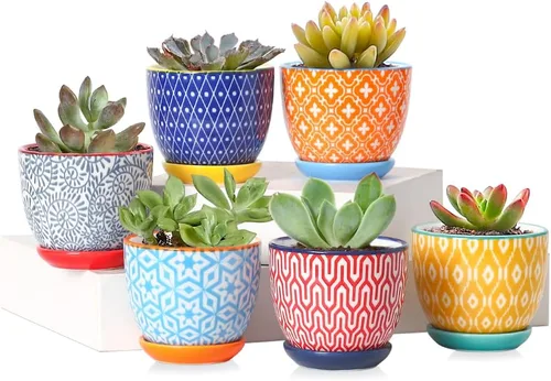 Selamica Macetas de cerámica para suculentas de 2.4 pulgadas, mini macetas para plantas de cactus con agujeros de drenaje y platillos, decoración