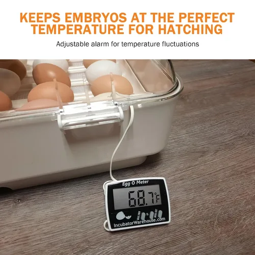 Miniatura 3 de Egg-O-Meter™ - Termómetro de huevo con pantalla digital grande con memoria mínima/máxima - Termómetro digital con sensor de temperatura