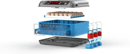 Miniatura 6 de Incubadora automática de huevos de gallina 16-24 e incubadoras de pavo para incubar huevos Incubadora de huevos de aves de corral de granja con giro