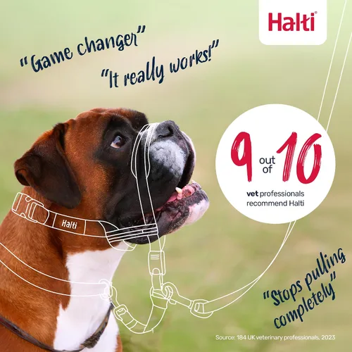 Miniatura 6 de Collar para perros con ajuste a la cabeza Halti Opti, mediano