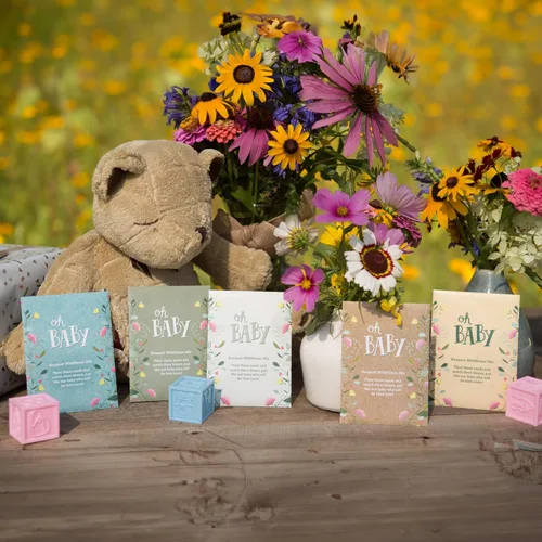 Miniatura 7 de BENTLEY SEED CO. Oh Baby Seed Packets Regalos de baby shower para invitados 25 paquetes de semillas de flores silvestres Prellenados Mezcla